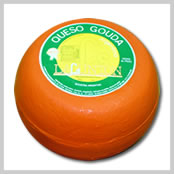 gouda